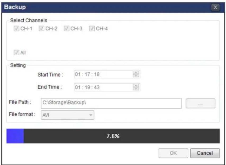 Backup Select Channels ✓ CH-1 ✓ CH-2 ✓ CH-3 ✓ CH-4 ✓ All Setting Start Time : 01 : 17 : 18 End Time : 01 : 19 : 43 File Path : C:\Storage\Backup\ File format : AVI 7.6% OK Cancel