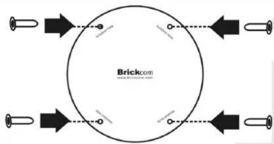 Brickcom www.brickcom.com