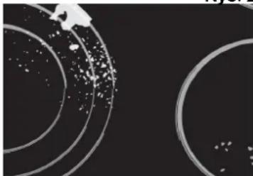 Abstract circular patterns with scattered white dots on a dark background, no text or symbols present