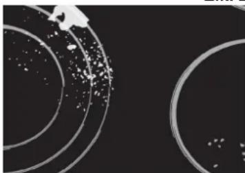 Abstract circular patterns with scattered white dots on a dark background, no text or symbols present.