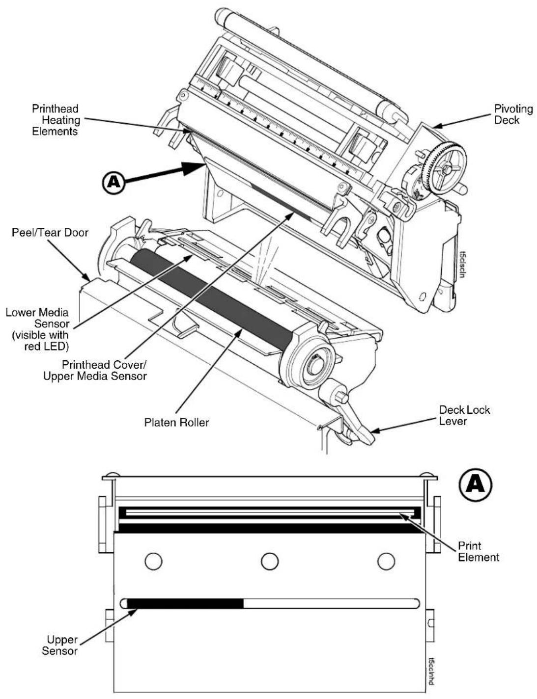 Printhead Heating Elements Pivoting Deck A Peel/Tear Door Lower Media Sensor (visible with red LED) Printhead Cover/Upper Media Sensor Platen Roller Deck Lock Lever Print Element Upper Sensor tscind