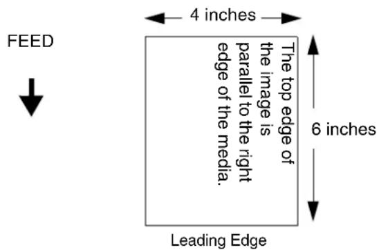 FEED 4 inches The top edge of the image is parallel to the right edge of the media. 6 inches Leading Edge