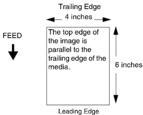 Trailing Edge 4 inches The top edge of the image is parallel to the trailing edge of the media. 6 inches FEED Leading Edge