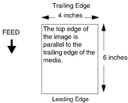 Trailing Edge 4 inches The top edge of the image is parallel to the trailing edge of the media. FEED 6 inches Leading Edge