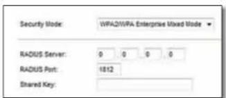 Security Mode: WPA2WPA Enterprise Mixed Mode RADIUS Server: 0 0 0 0 RADIUS Port: 1812 Shared Key: