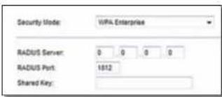 Security Mode: WPA Enterprise RADIUS Server: 0 0 0 0 RADIUS Port: 1812 Shared Key: