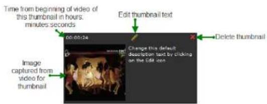 Time from beginning of video of this thumbnail in hours. minutes seconds Edit thumbnail text 00:00:24 Change this default description text by clicking on the Edit icon Delete thumbnail Image captured from video for thumbnail