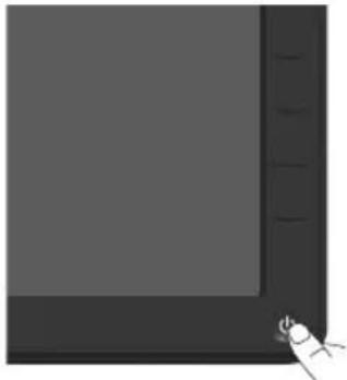 DELL E Series E1715S - Allumer le moniteur - 1