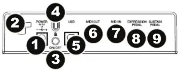 2 POWER IN 50 1 ON/OFF 4 USB MIDI OUT 6 MIDI IN 7 EXPRESSION PEDAL 8 SUSTAIN PEDAL 9 3