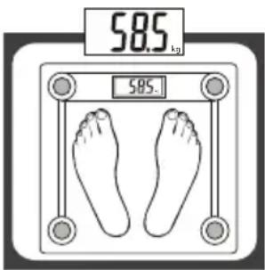 585 kg 585.