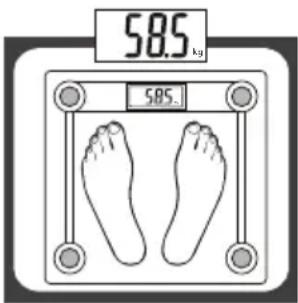 58.5 kg 58.5