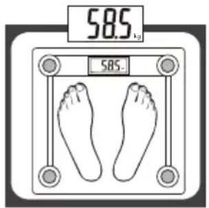 585 kg 585.