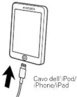 Cavo dell'iPod/ iPhone/iPad