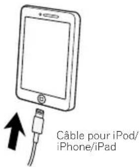 Câble pour iPod/ iPhone/iPad