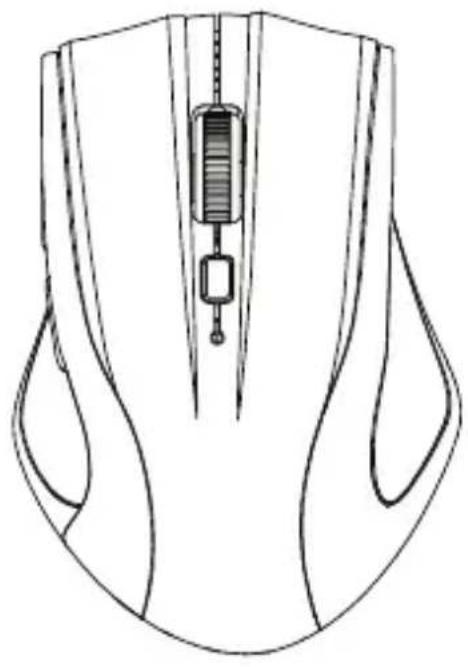 Line drawing of a computer mouse head with internal components (no text or symbols)