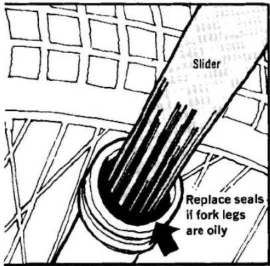 Slider Replace seals if fork legs are oily