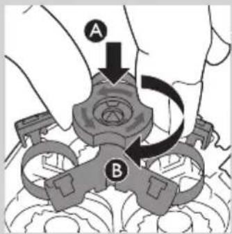 A B