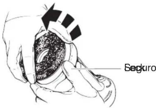 Seguro