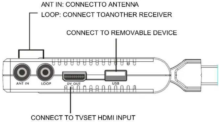 ANT IN: CONNECT TO ANTENNA LOOP: CONNECT TOANOTHER RECEIVER CONNECT TO REMOVABLE DEVICE ANT IN LOOP DV OUT USB CONNECT TO TVSET HDMI INPUT