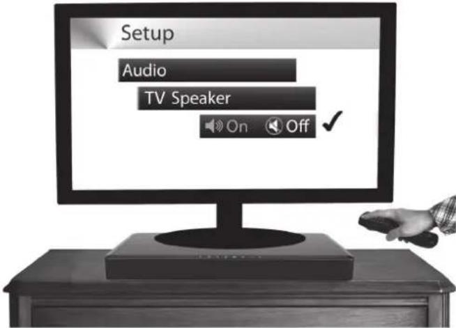 Setup Audio TV Speaker On Off