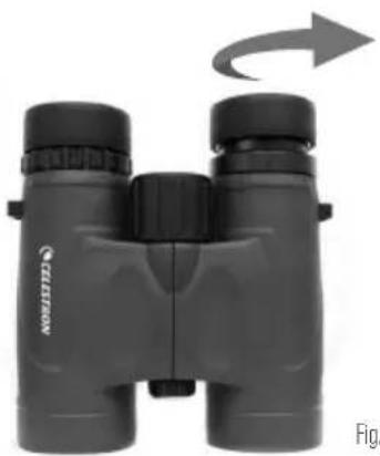 CELESTRON Nature DX 10X25 - AJUSTE DE LA ALMOHADILLA - 1