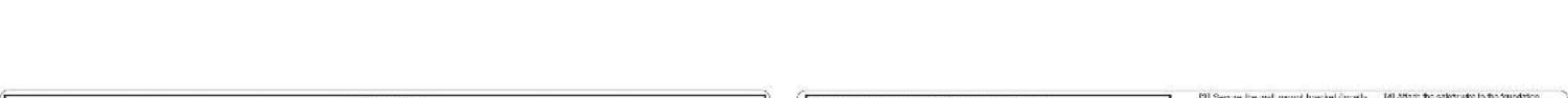 Scanned document fragment with placeholder text and redacted section line, likely from a form or report.