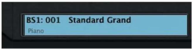 BS1: 001 Standard Grand Piano