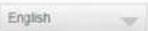WESTERN DIGITAL My Cloud EX4100 - Language & Clock - 1