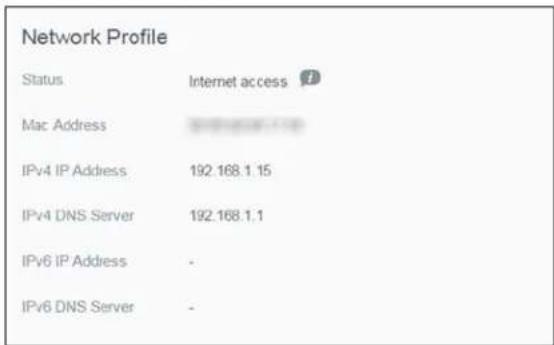 Network Profile Status Internet access Mac Address IPv4 IP Address 192.168.1.15 IPv4 DNS Server 192.168.1.1 IPv6 IP Address - IPv6 DNS Server -