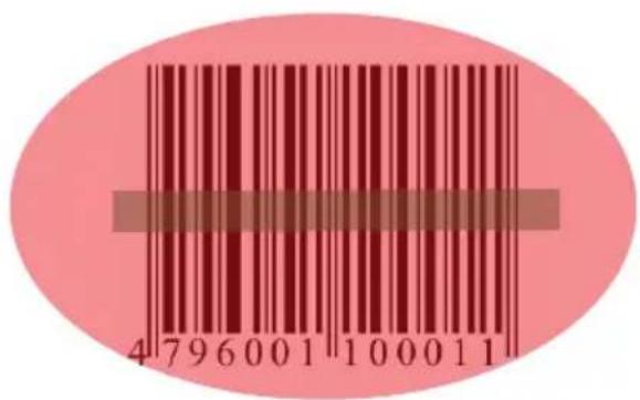 4796001100011