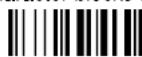 DATALOGIC PowerScan PBT8300 - INTER-BLOCK DELAY - 2