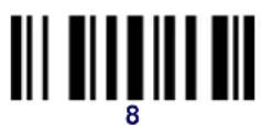 DATALOGIC PowerScan PBT8300 - Examples: - 21