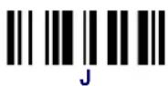 DATALOGIC PowerScan PBT8300 - Examples: - 32