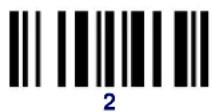 DATALOGIC PowerScan PBT8300 - Examples: - 15