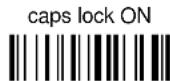 DATALOGIC PowerScan PBT8300 - CAPS LOCK - 2