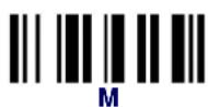 DATALOGIC PowerScan PBT8300 - Examples: - 35