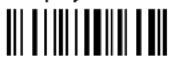 DATALOGIC PowerScan PBT8300 - DISPLAY MODE - 2
