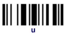 DATALOGIC PowerScan PBT8300 - Examples: - 70