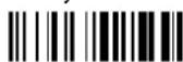 DATALOGIC PowerScan PBT8300 - TIME STAMPING MODE - 2