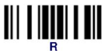 DATALOGIC PowerScan PBT8300 - Examples: - 43