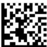 DATALOGIC PowerScan PD9530 - Good Read Green Spot Duration - 5