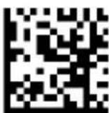 DATALOGIC PowerScan PD9530 - COUNTRY MODE (continued) - 6