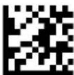 DATALOGIC PowerScan PD9530 - Scan Mode (continued) - 1
