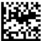 DATALOGIC PowerScan PD9530 - Scan Mode (continued) - 7
