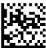 DATALOGIC PowerScan PD9530 - Scan Mode (continued) - 5