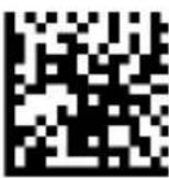 DATALOGIC PowerScan PD9530 - Scan Mode (continued) - 4
