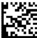 DATALOGIC PowerScan PD9530 - USB (continued) - 4