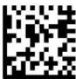 DATALOGIC PowerScan PD9530 - COUNTRY MODE (continued) - 4