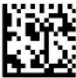 DATALOGIC PowerScan PD9530 - COUNTRY MODE (continued) - 1
