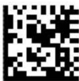 DATALOGIC PowerScan PD9530 - COUNTRY MODE (continued) - 5